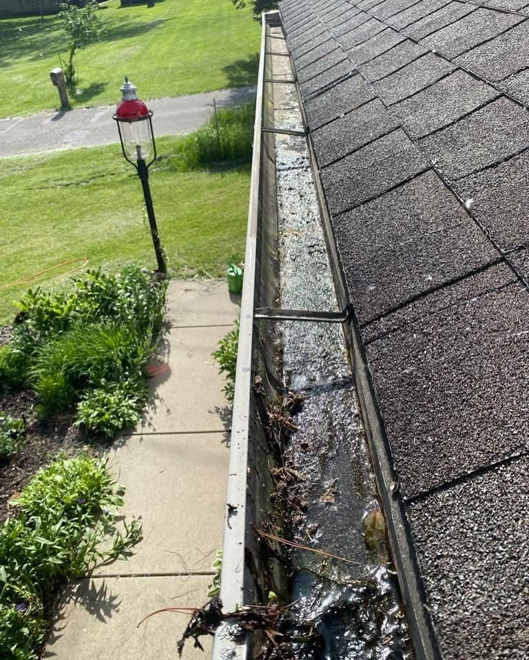 Gutter Cleaning
