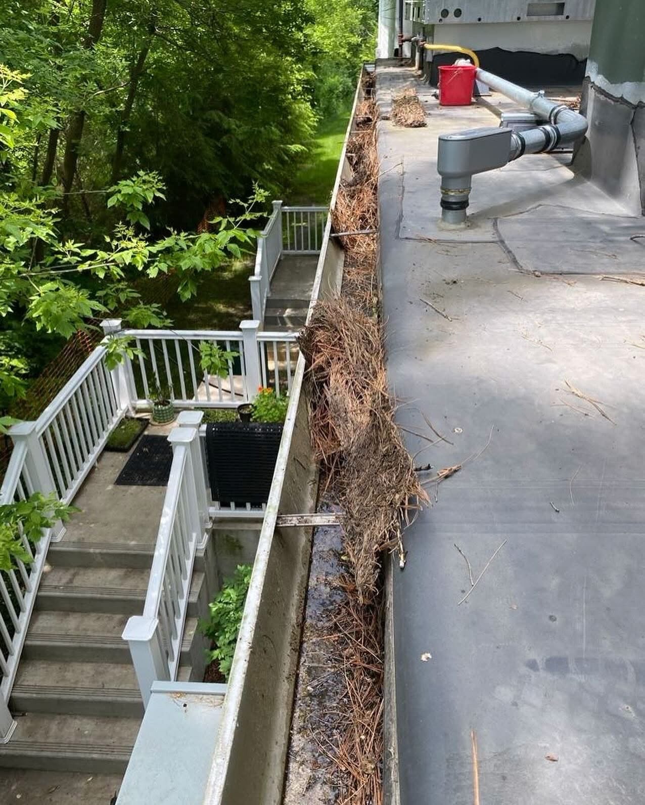 Gutter Cleaning